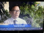 Luật sư chuyên tư vấn về tranh chấp lao động cho công ty