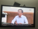 Án Lệ Về Hôn Nhân Gia Đình